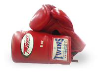 �O���[�u�E���K�[�X���́A�W���̕���݂��o�����܂��B�O���[�u�A�v���e�N�^�[���̔̔������Ă��܂��B